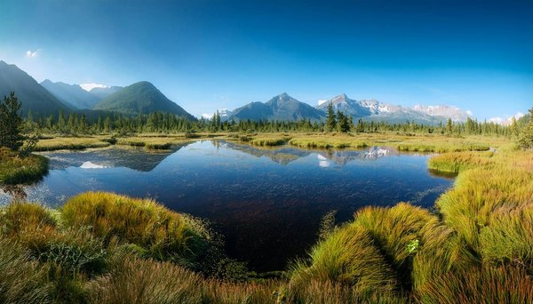 Peut-on organiser un séjour dans un moulin à eau en Bretagne avec démonstration de mouture?
